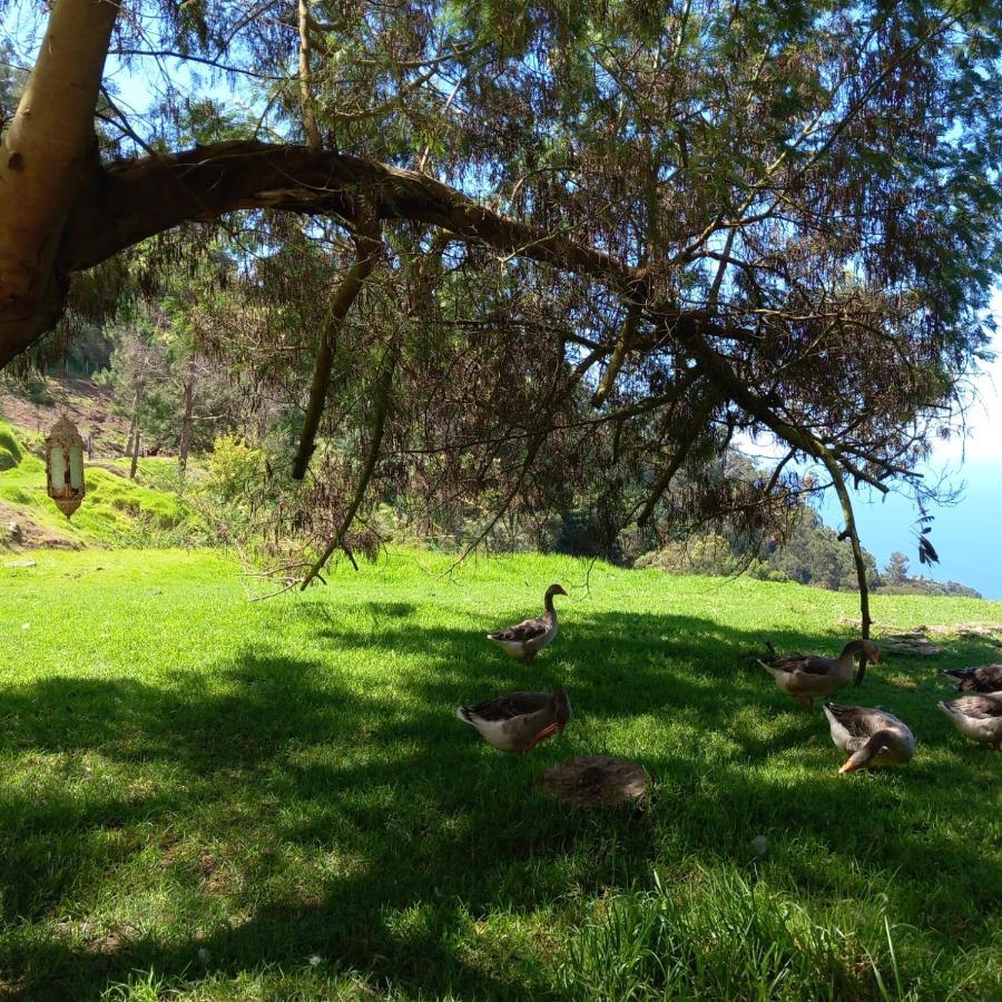 Arambha Ecovillage Farmstay Tabua  外观 照片