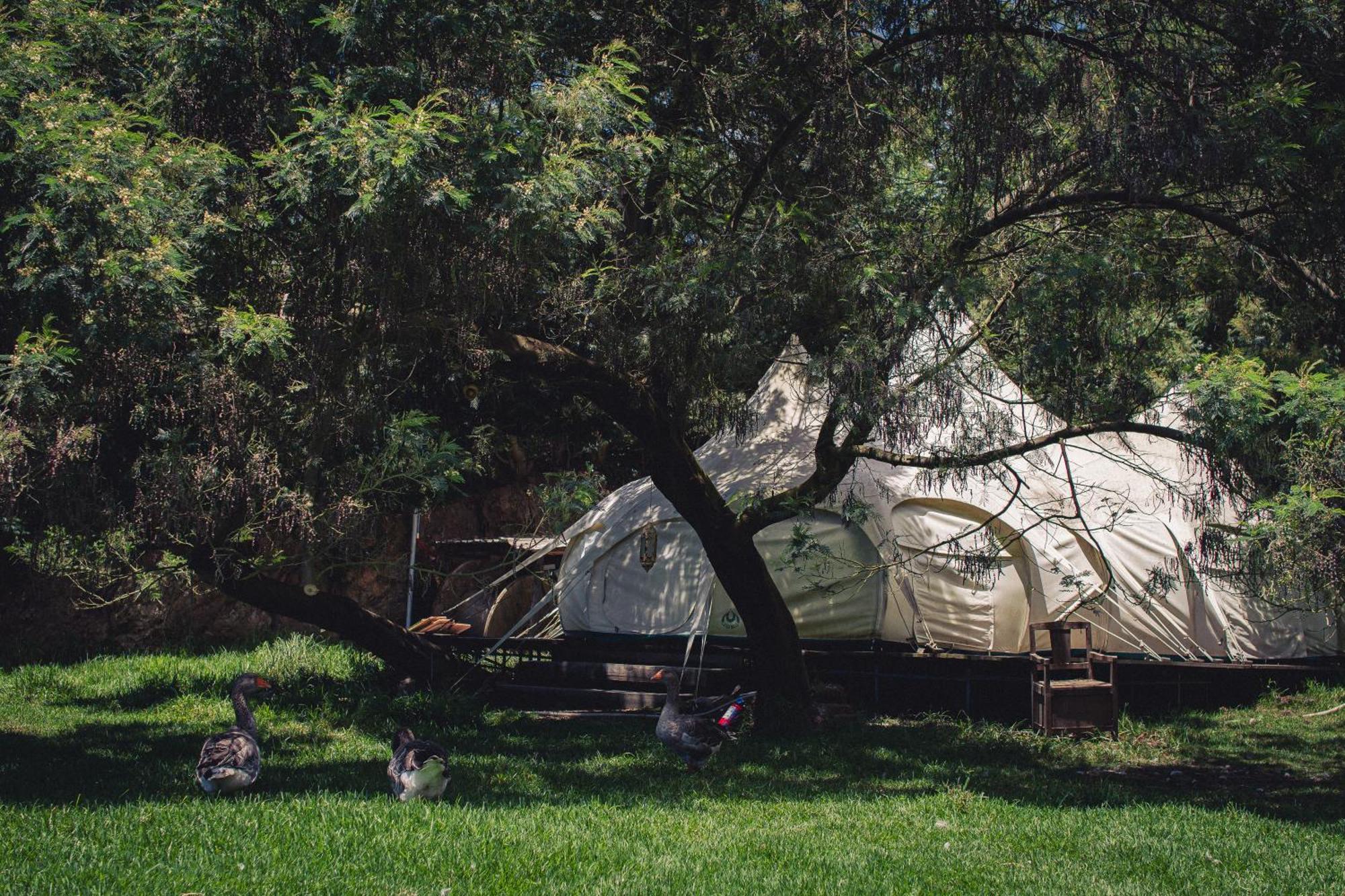 Arambha Ecovillage Farmstay Tabua  外观 照片