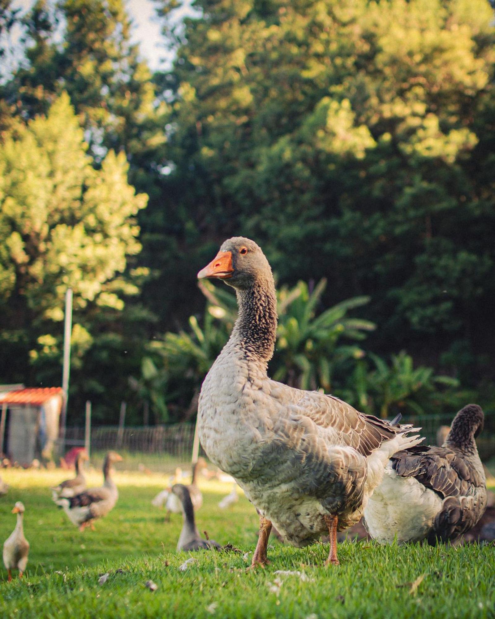 Arambha Ecovillage Farmstay Tabua  外观 照片